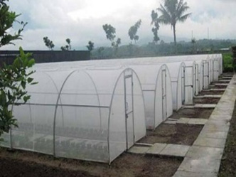Gothic Greenhouse