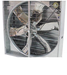 Livestock equipment