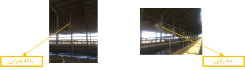 Livestock making