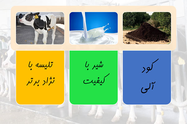 Livestock products