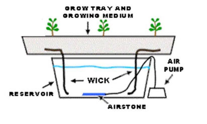 Planting to harvest