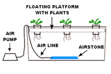 Planting to harvest