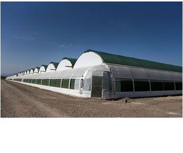 agricultural equipment
