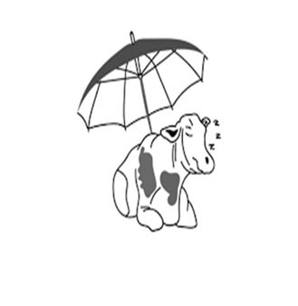 cow comfort